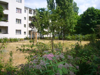 2 Zimmer / 50,19 m² – Ihr neues Zuhause mit goldenem Baumblick, Glienicker Weg 152B, EG LI - Photo 1